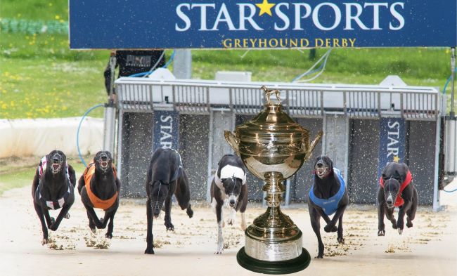 english derby towcester