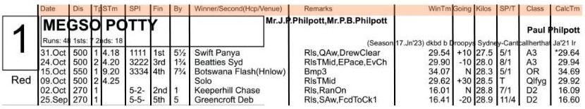 racecard is really a spreadsheet
