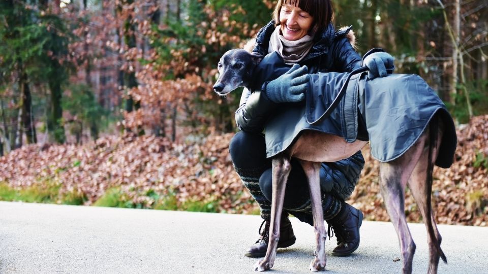 woman training a greyhound