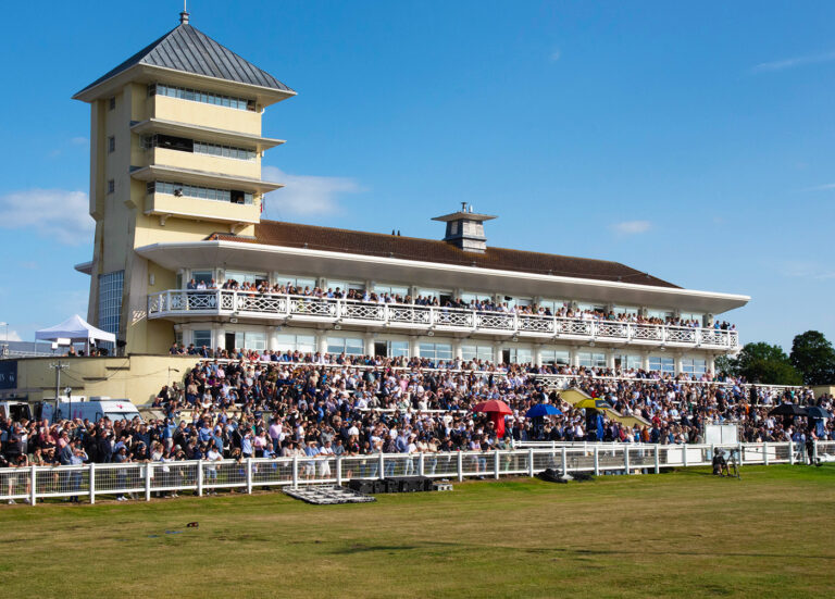 Towcester Racecourse joins Premier Greyhound Racing schedule